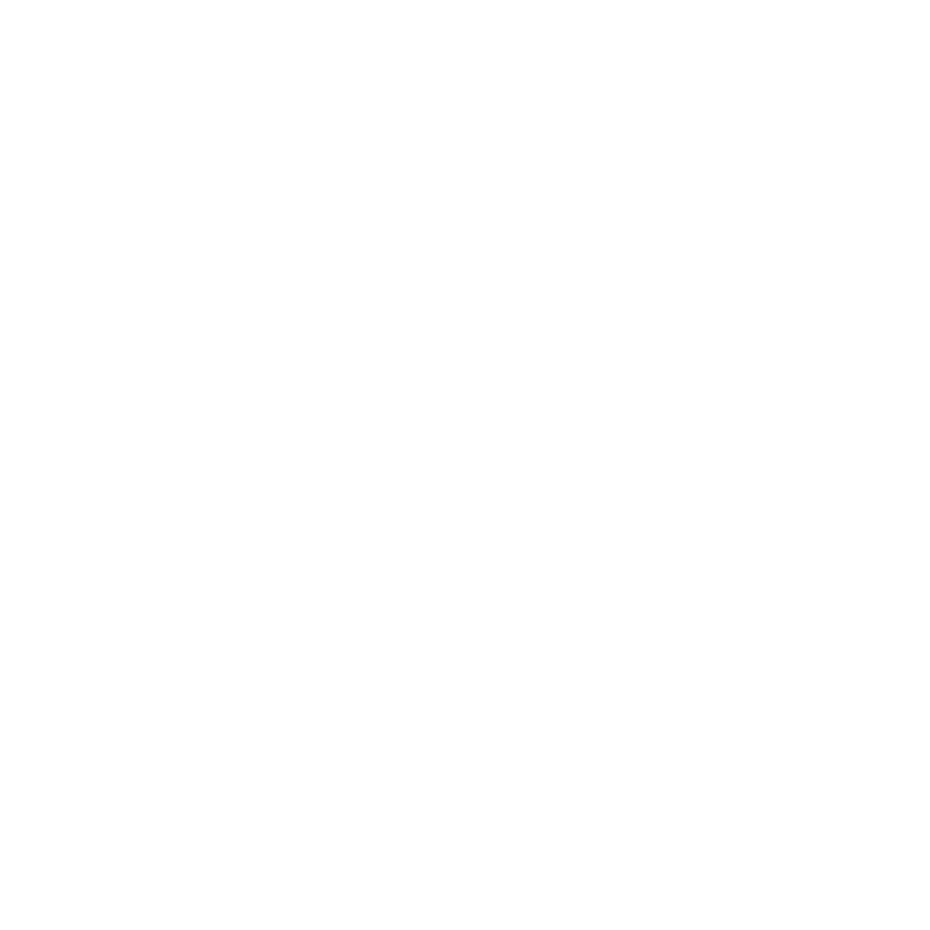 Brand Icon