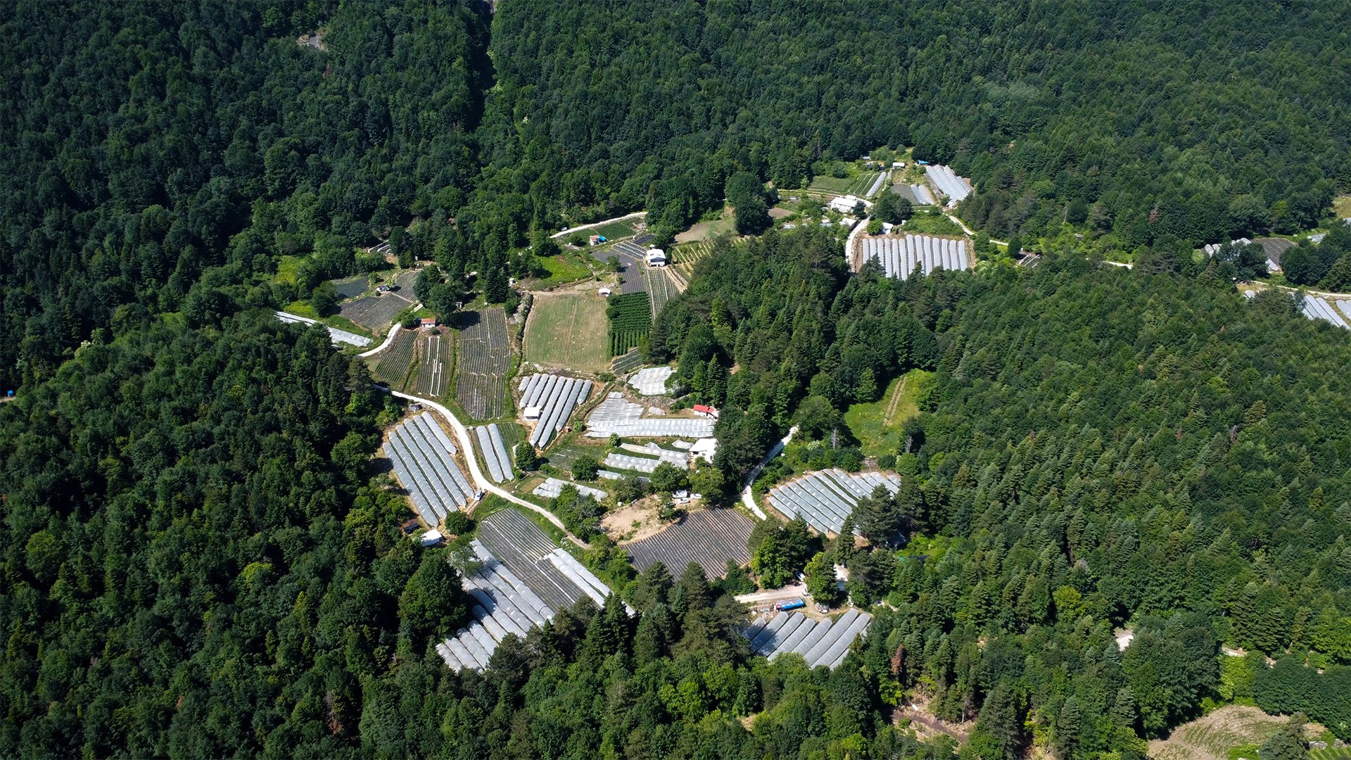 Agribusiness IndustriesAgribusiness Industries