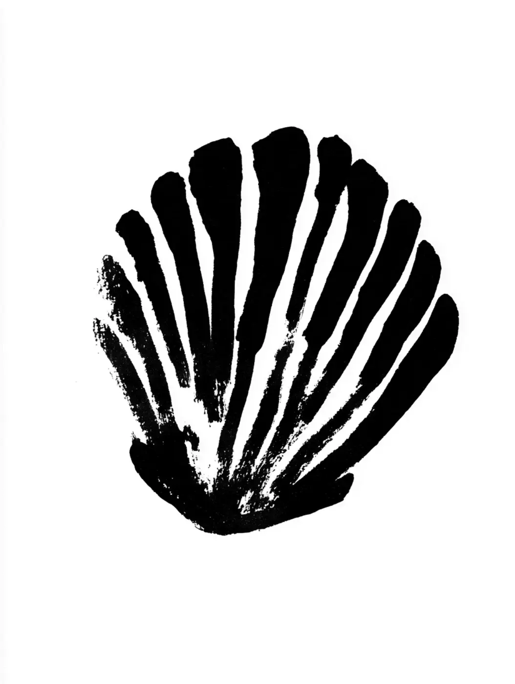 Black shell illustration