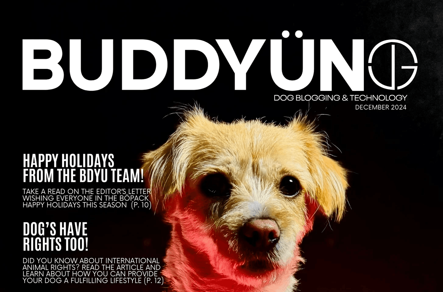 buddyuno magazine - preview cover