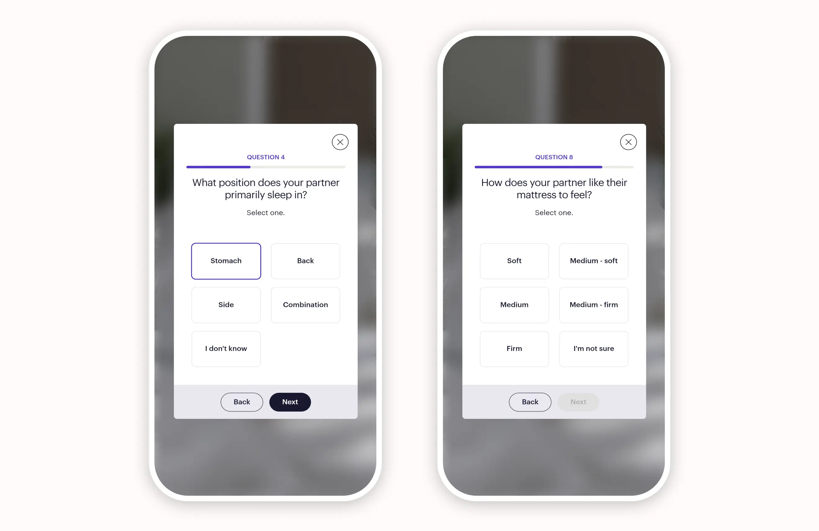 purple-partner-question