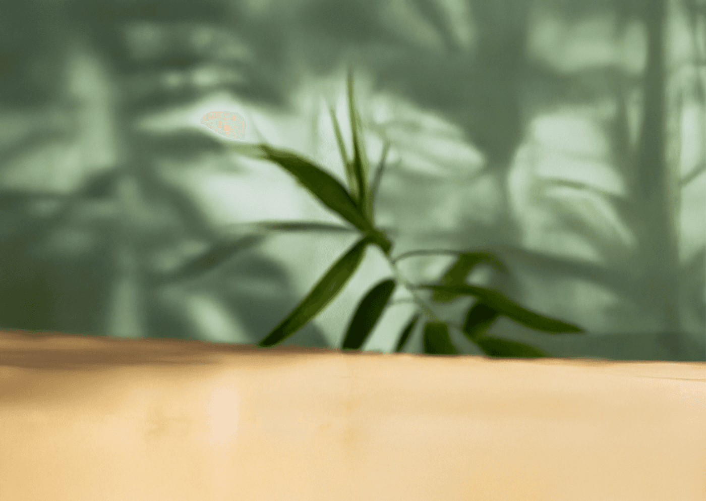 Drone shot of a running track at night