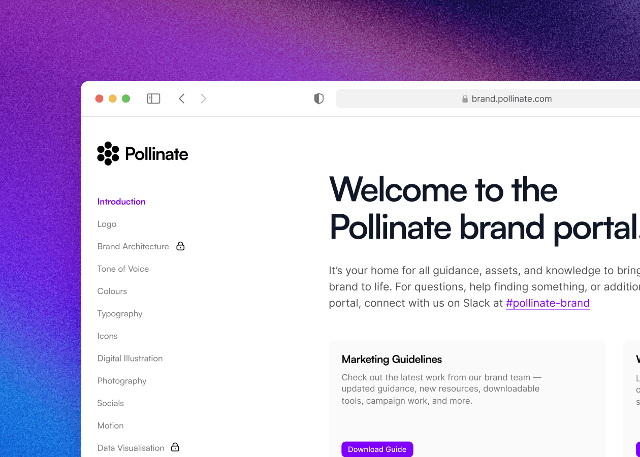 various brand elements showcasing designer use cases