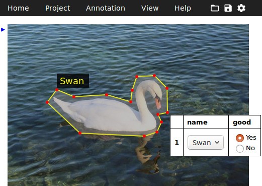 VGG Image Annotator Tool