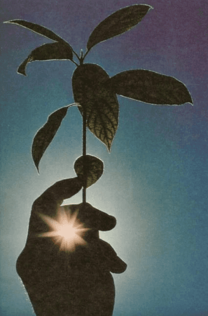 Captured moment from a corporate or social event.