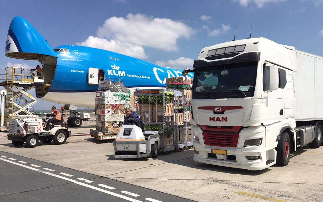 Auction carts at the flower auction