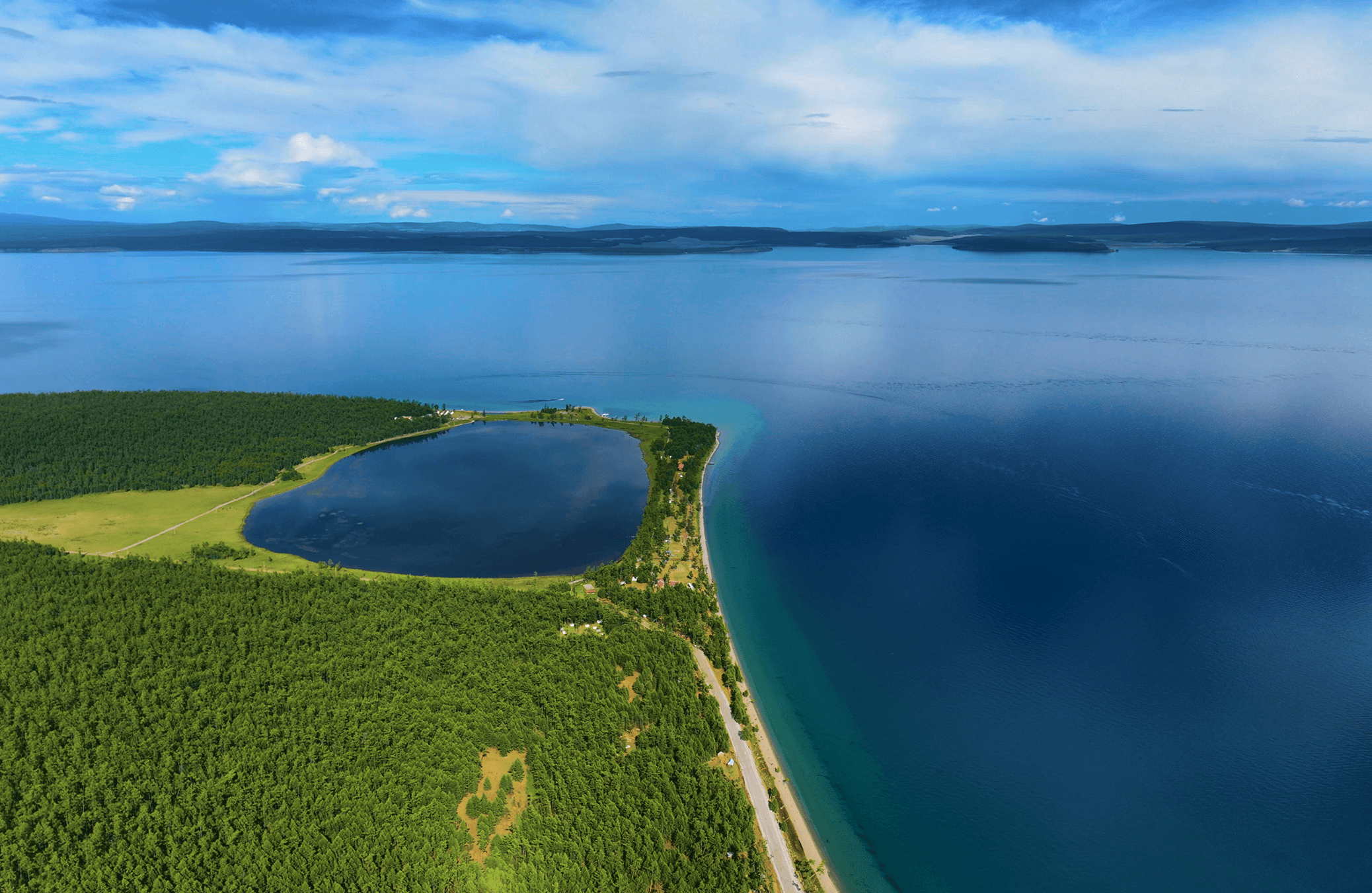 Close-up of a dark green leaf showing its textured surface and central vein against a muted background.