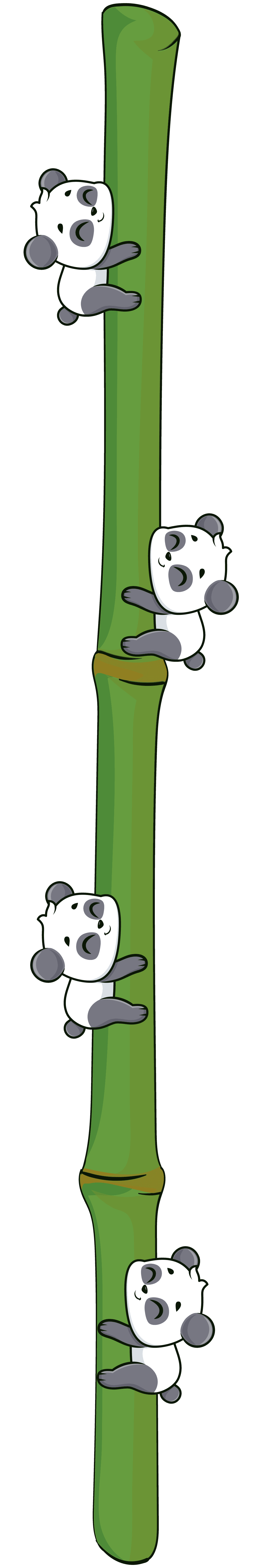 Pandas climbing a green bamboo stalk