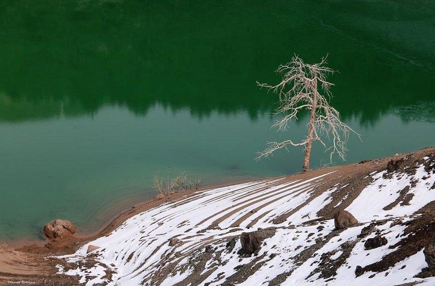 Smiling young man with short hair poses against a dark background, wearing a green button-up shirt.