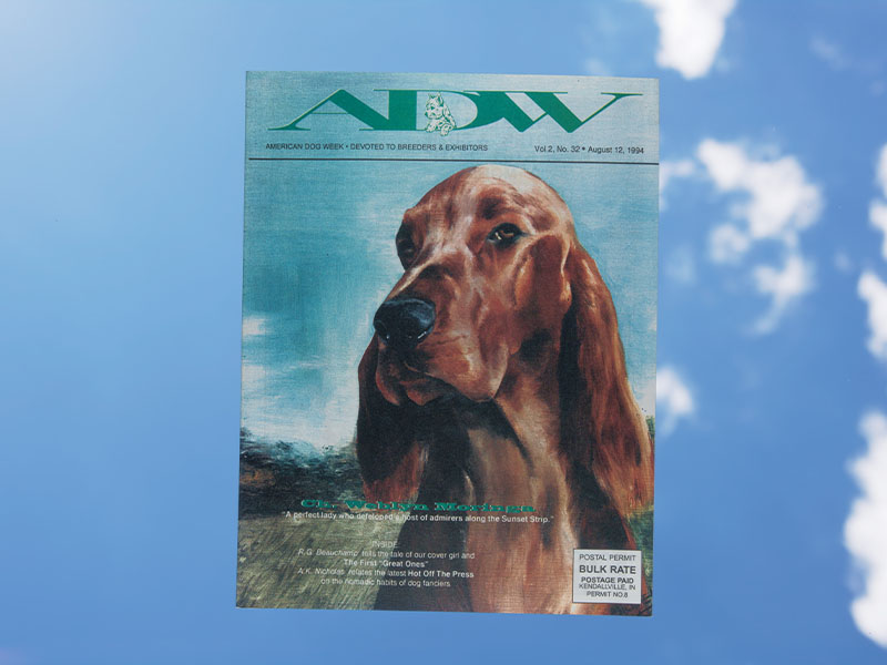 Sincerely, Ric still - American Dog Week