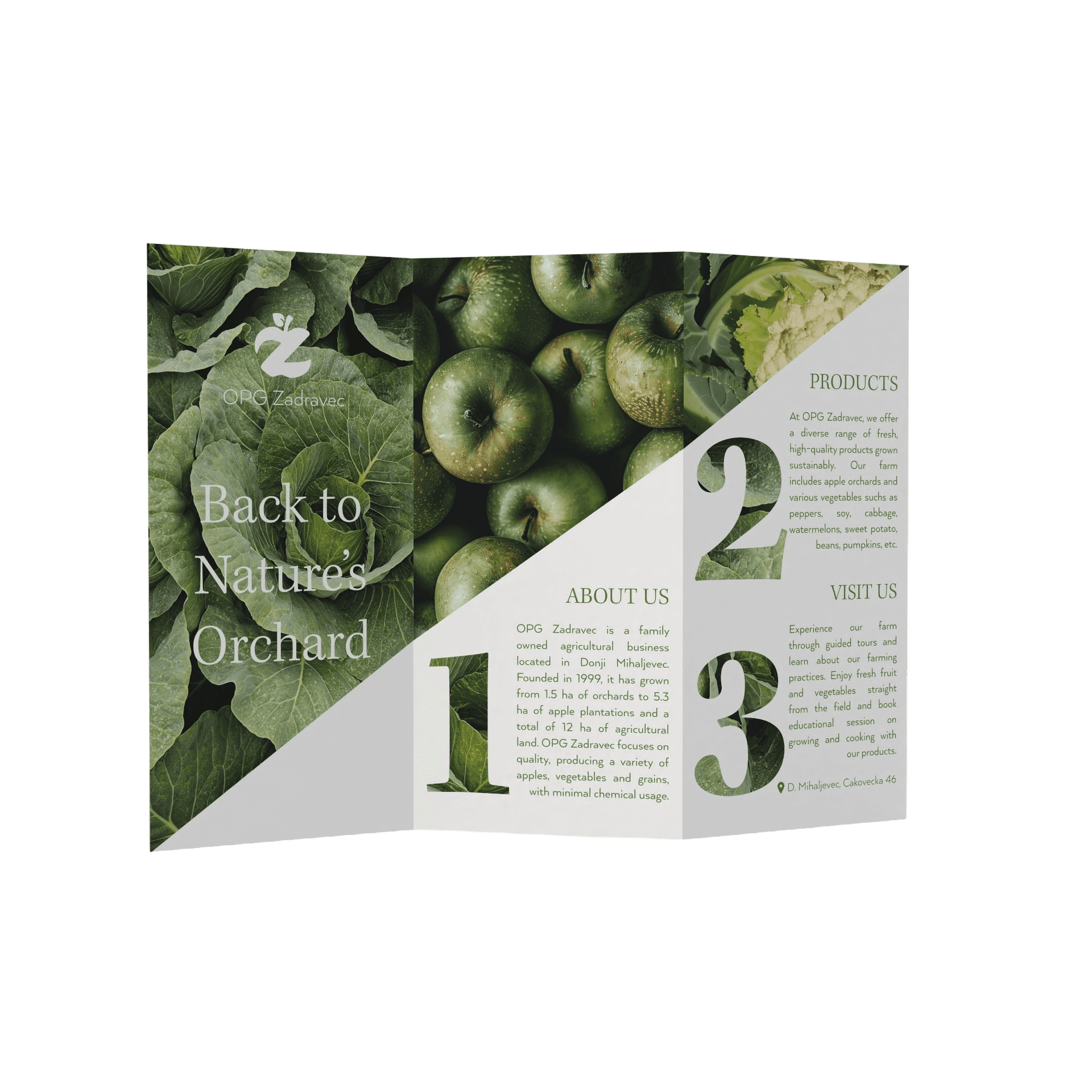 brochure