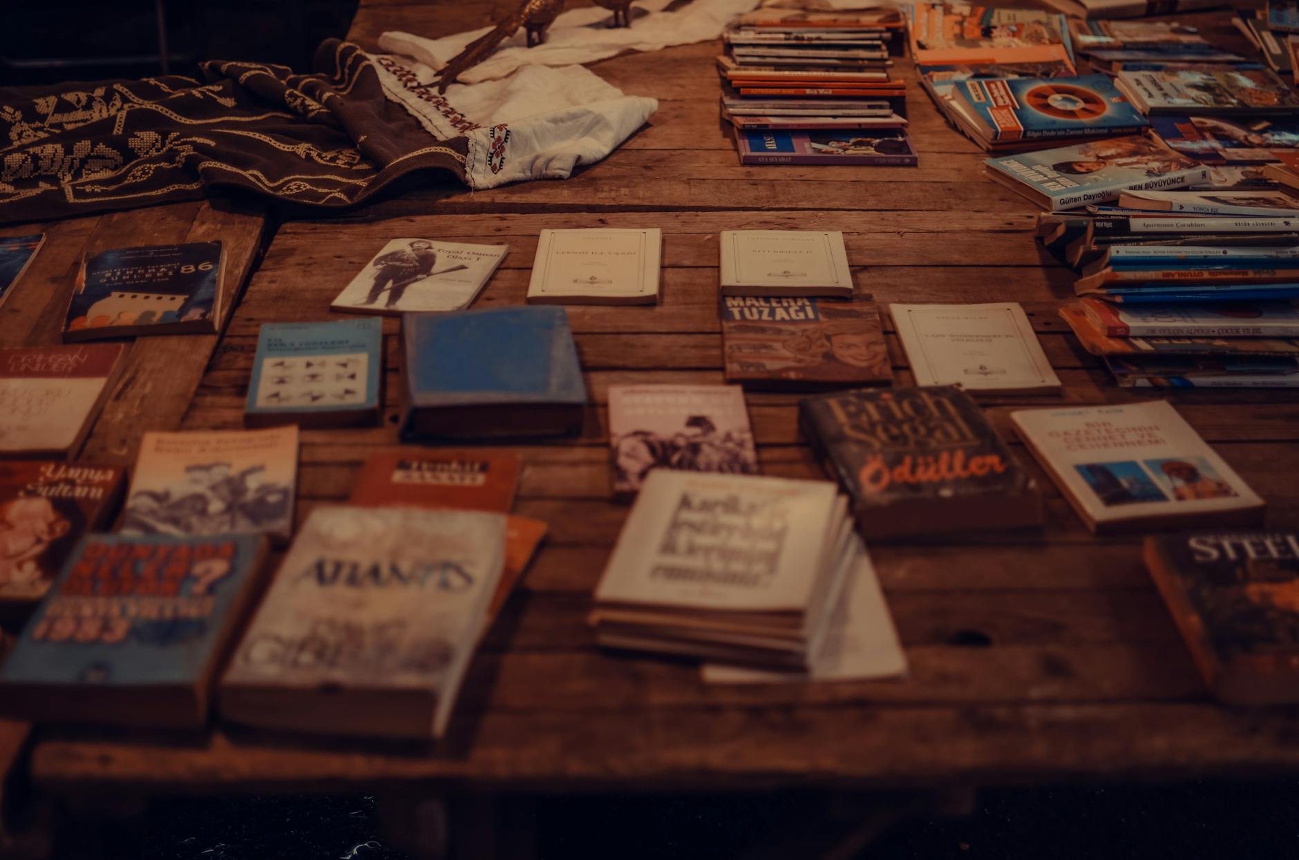 A circular diagram on a wooden desk showing complex psychological models of cognitive development and personality.