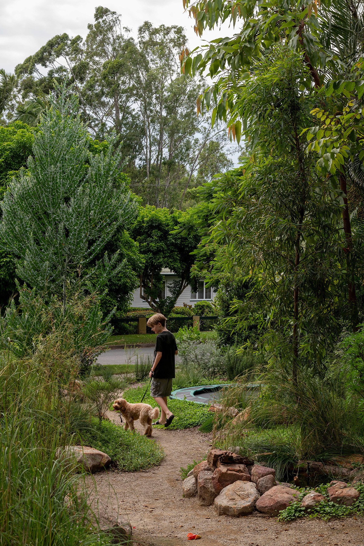 Front garden at Toohey Forest House with native planting, meandering pathway, and connection to surrounding bushland landscape.