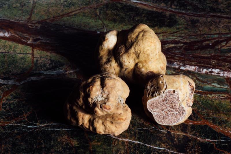 Tartufi