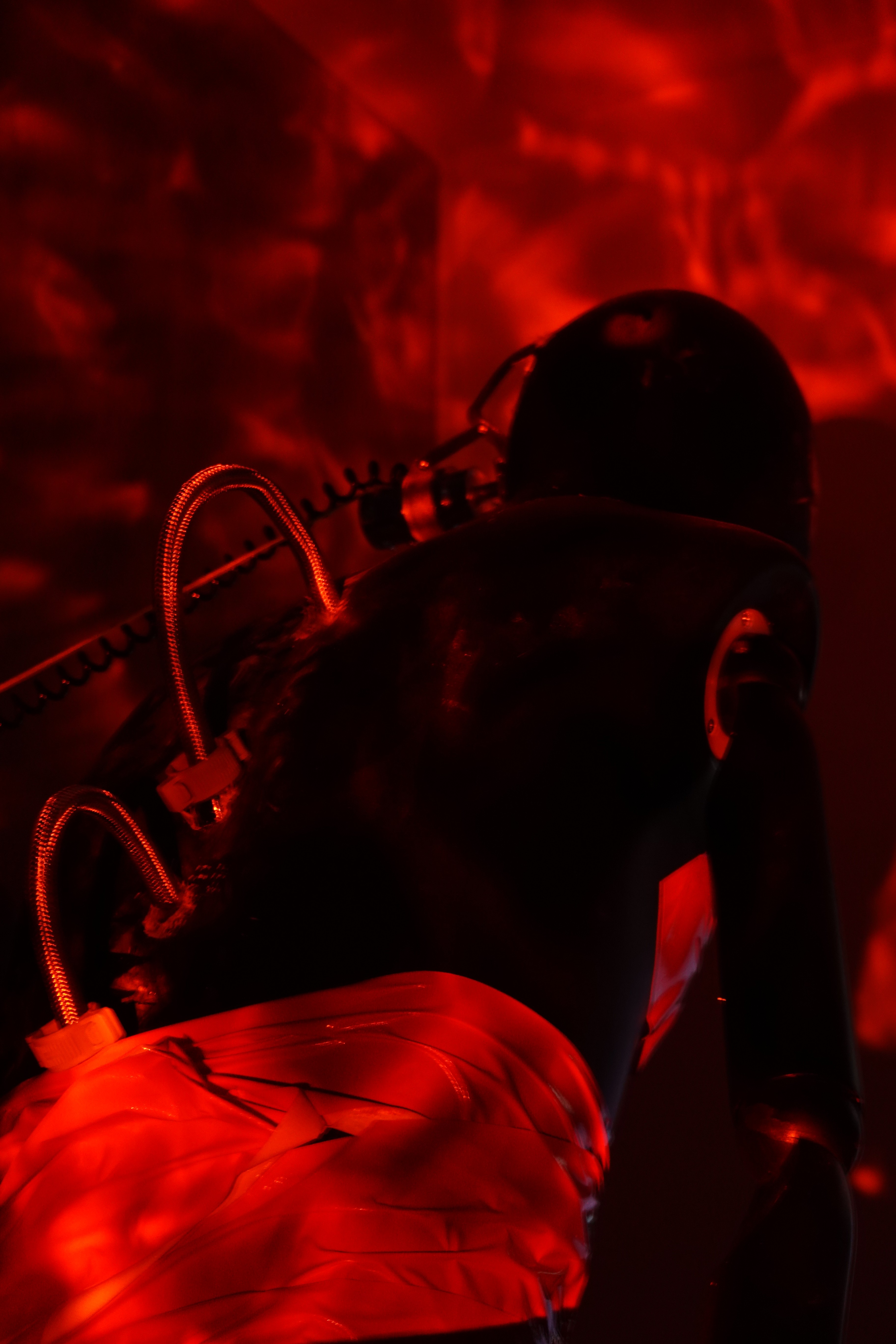 Irene Webflow template project image