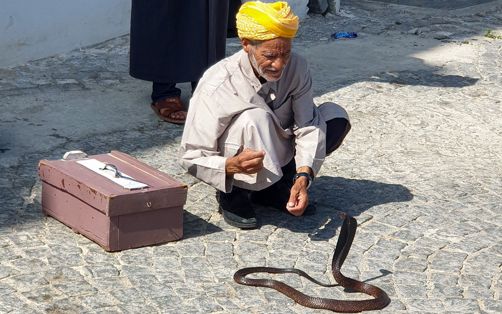 在塞維利亞的一日遊中,蛇魅者在丹吉爾表演。