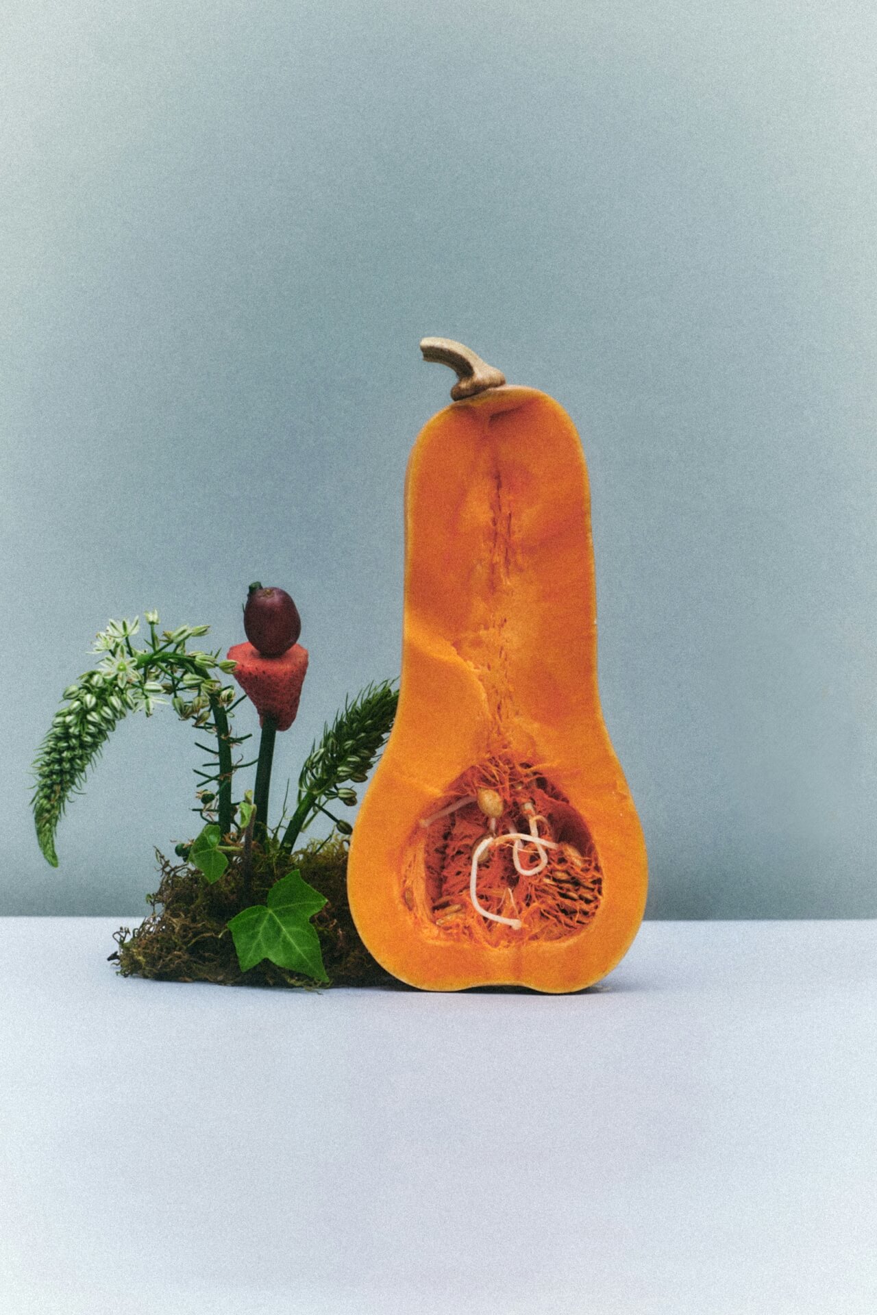 Half of a pumpkin standing upright and arranged artistically besides a plant clipping and strawberry against a pale blue background