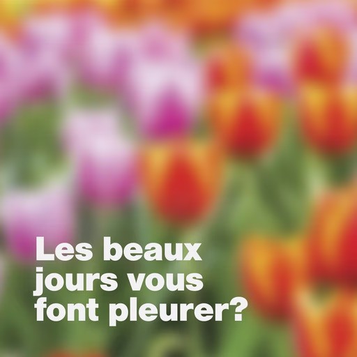 Blurry photo of colorful tulips in bloom with white bold text in French: 'Les beaux jours vous font pleurer?' ('Do sunny days make you cry?').