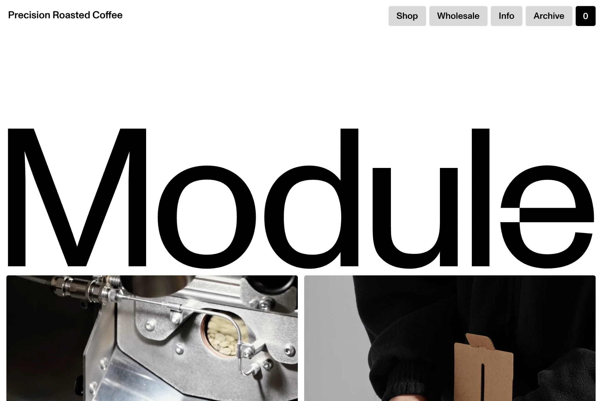 Screenshot of Module website