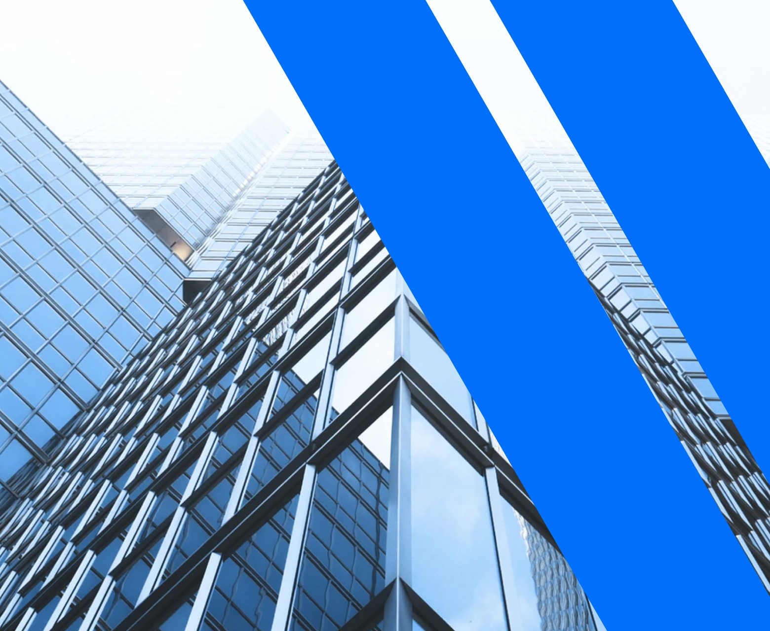 person sitting on grass and using phone