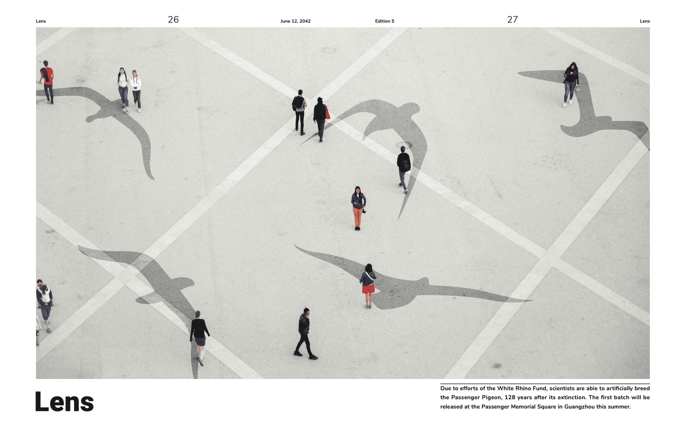 Responsive Image