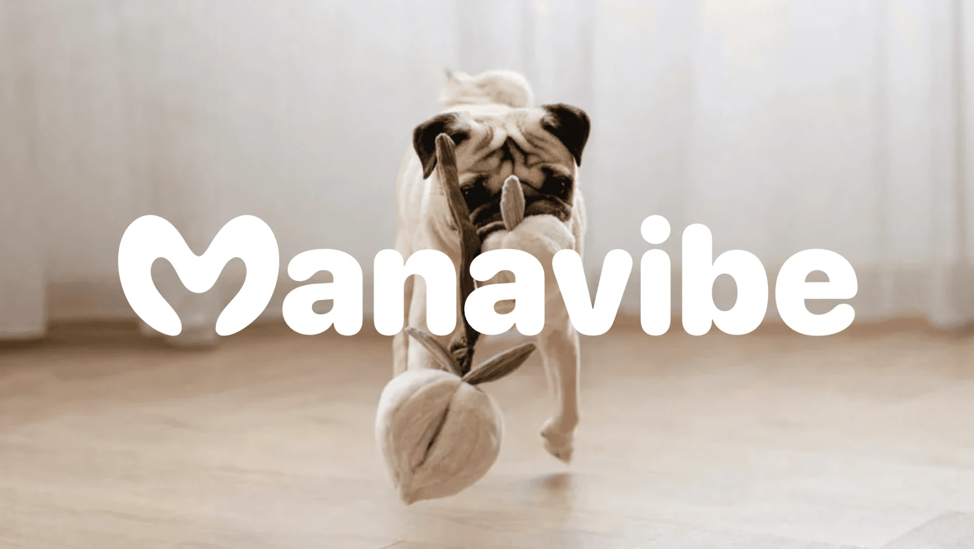 Création de l'identité visuelle, des templates réseaux sociaux et du site web de Manavibe, boutique spécialisée dans l'occupation et la stimulation animale