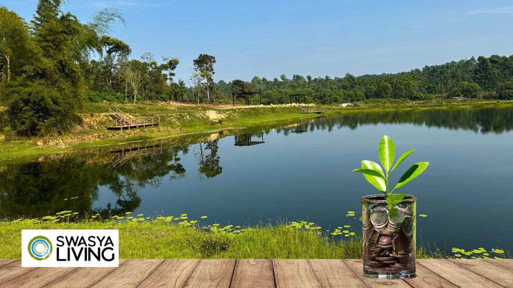 Best Investment Options for Indian Investors