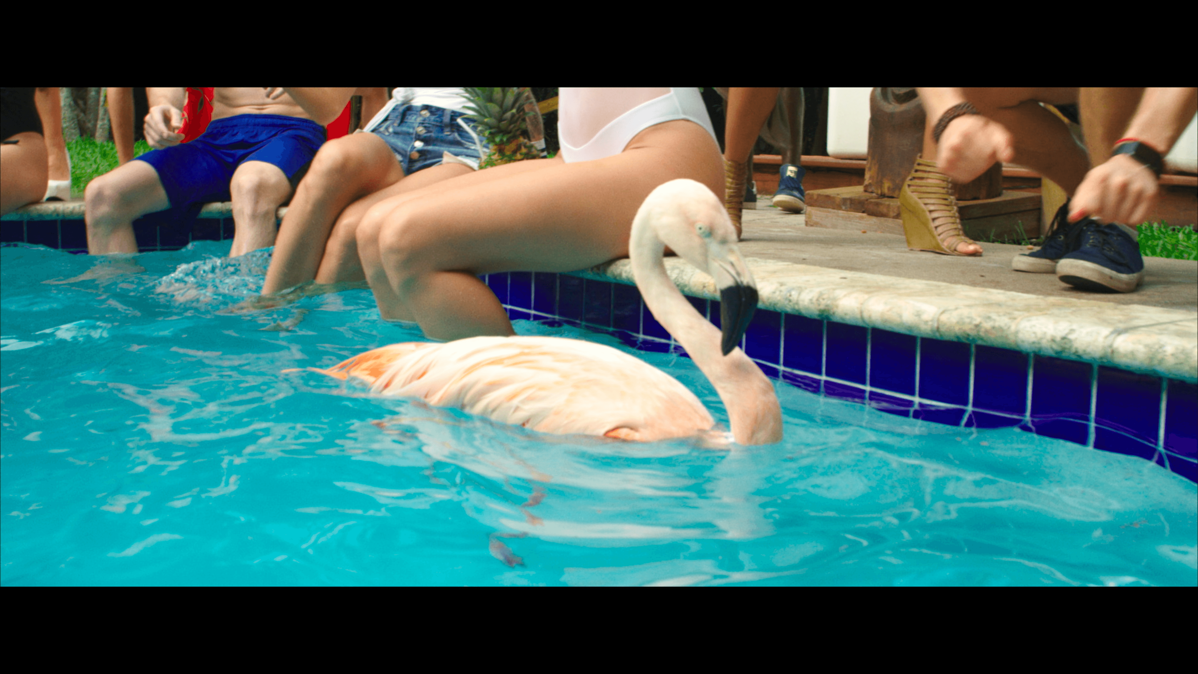 Real Fliamingo at the pool party