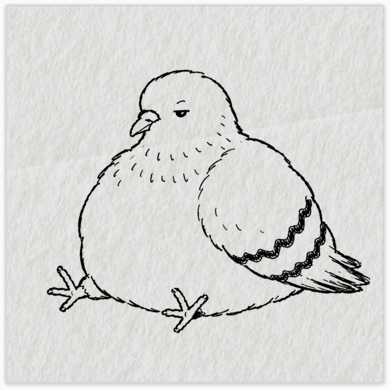 the pigeon