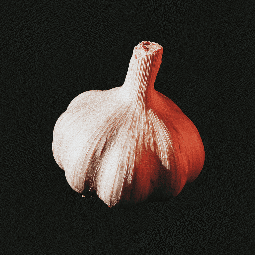 Garlic