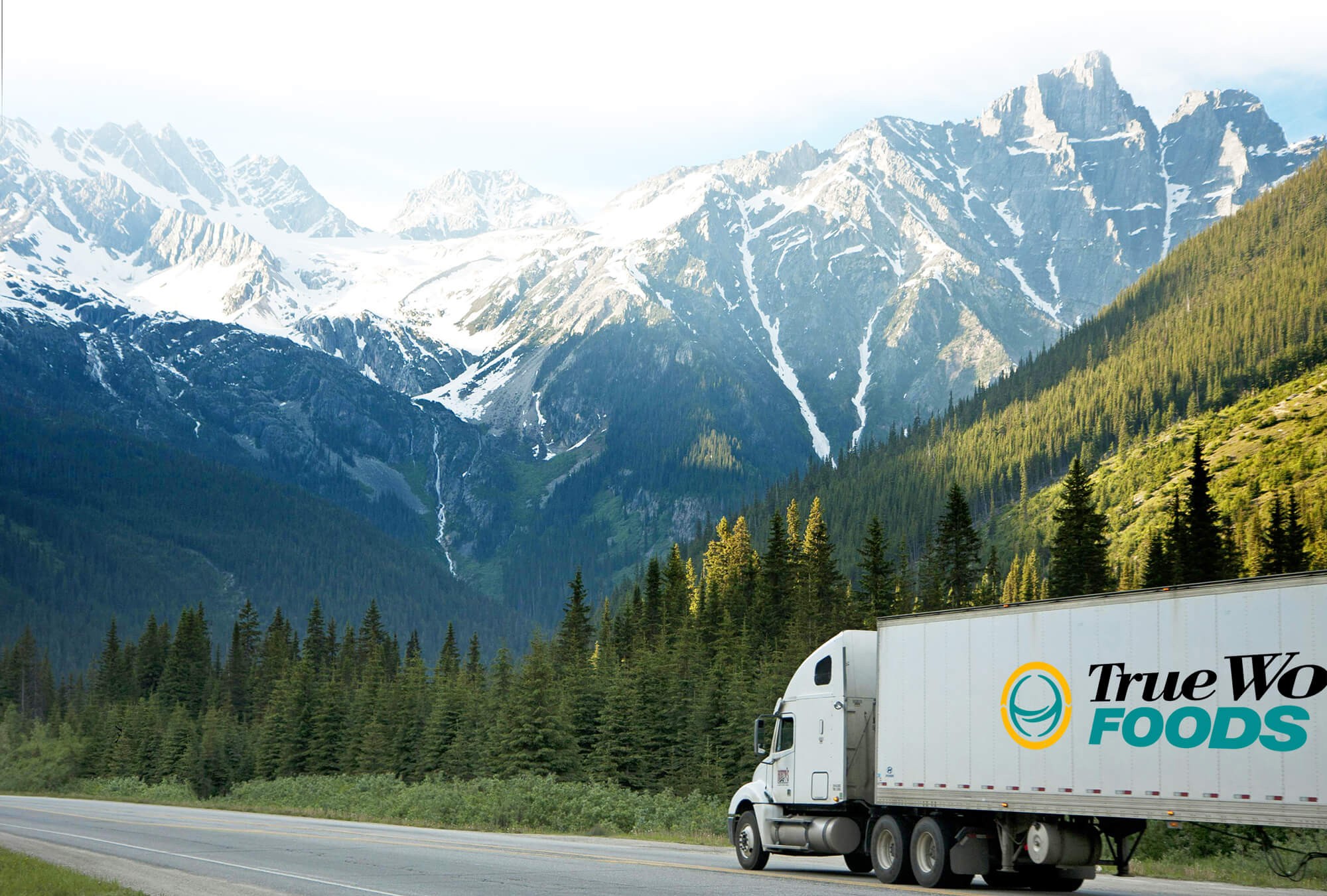 TWF europe's leading seafood supplier