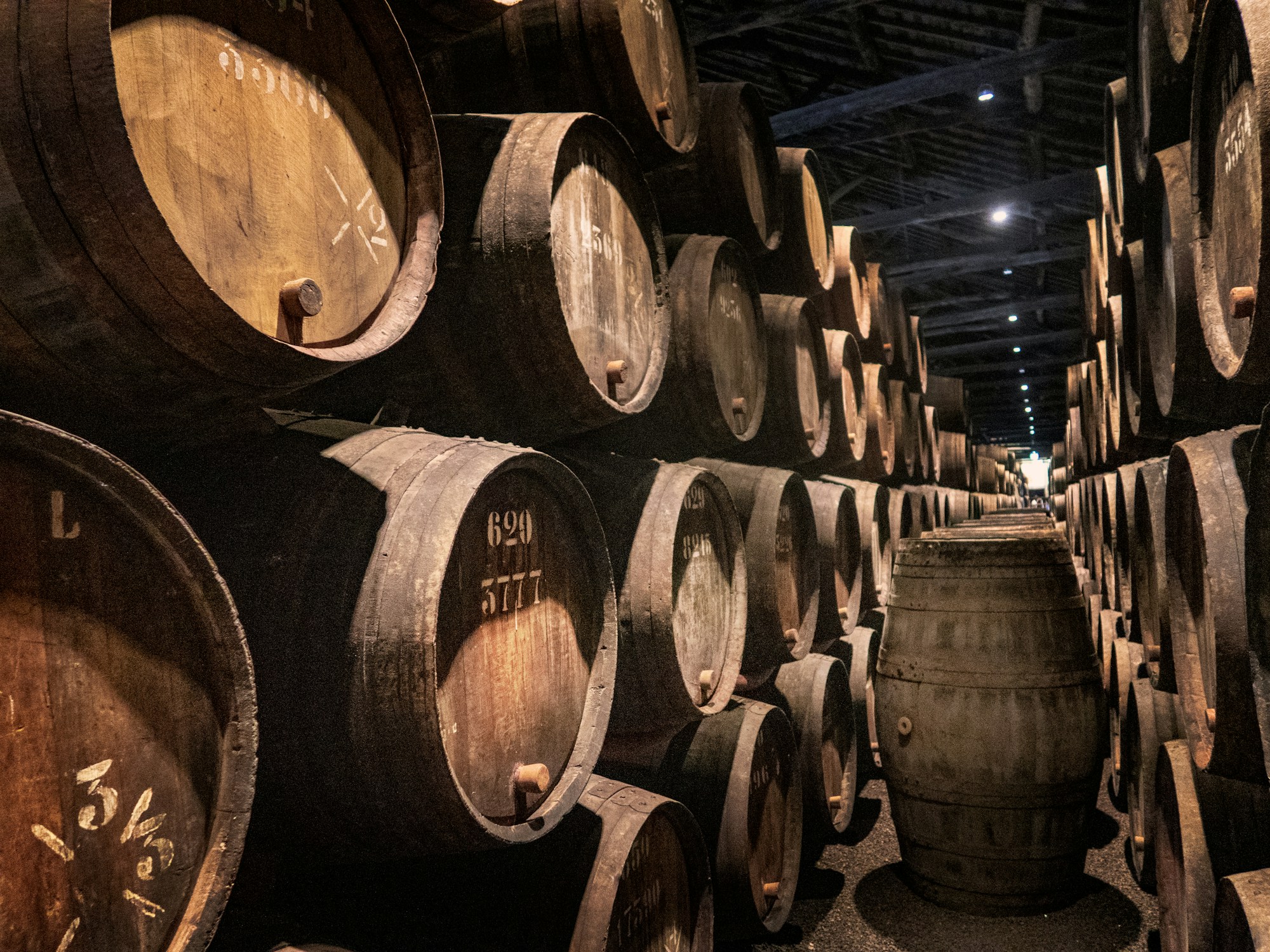 A tunnel of barrels in a stone cellar