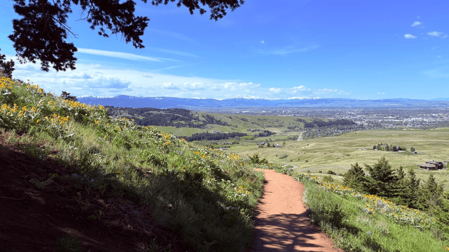 Beautiful image of Montana scenery, open fields in the sun and mountains