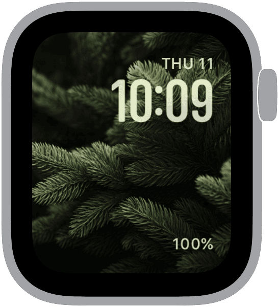 an apple watch face from the evergreen collection