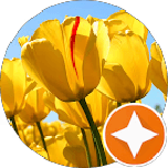 photo de profil client chez Krystal Hygiène