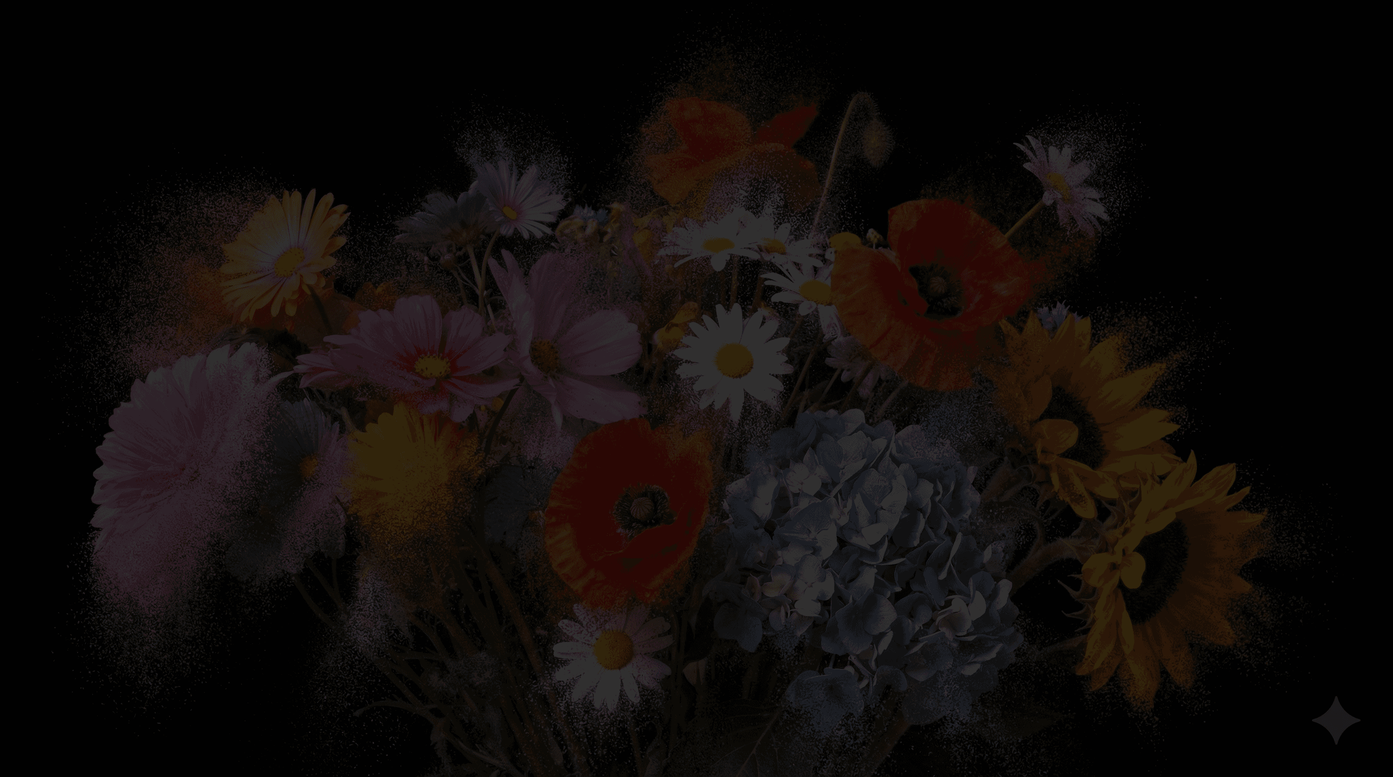 white flower in black background