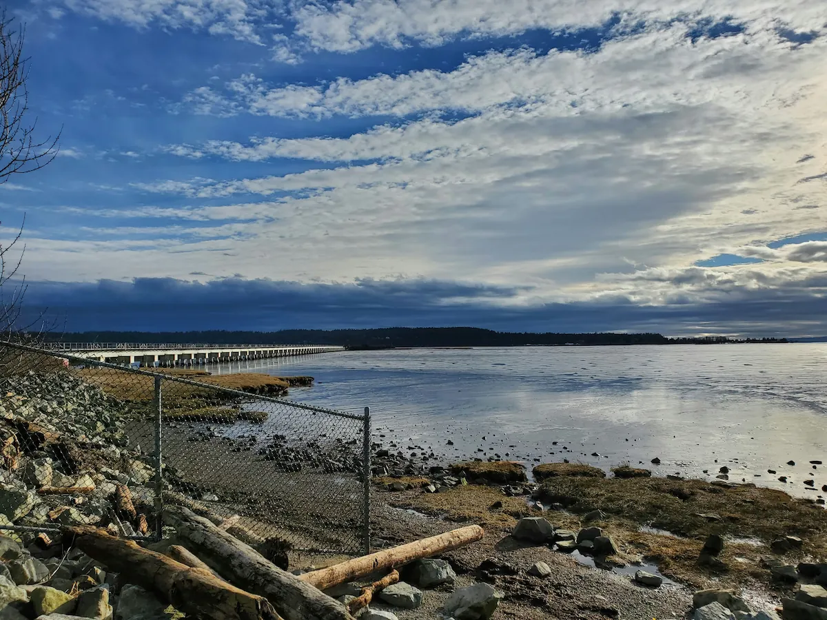 Shoreline view in Tsawwassen, BC with driftwood, rocky beach, and a long pedestrian causeway extending over calm coastal water under a dramatic cloudy sky.