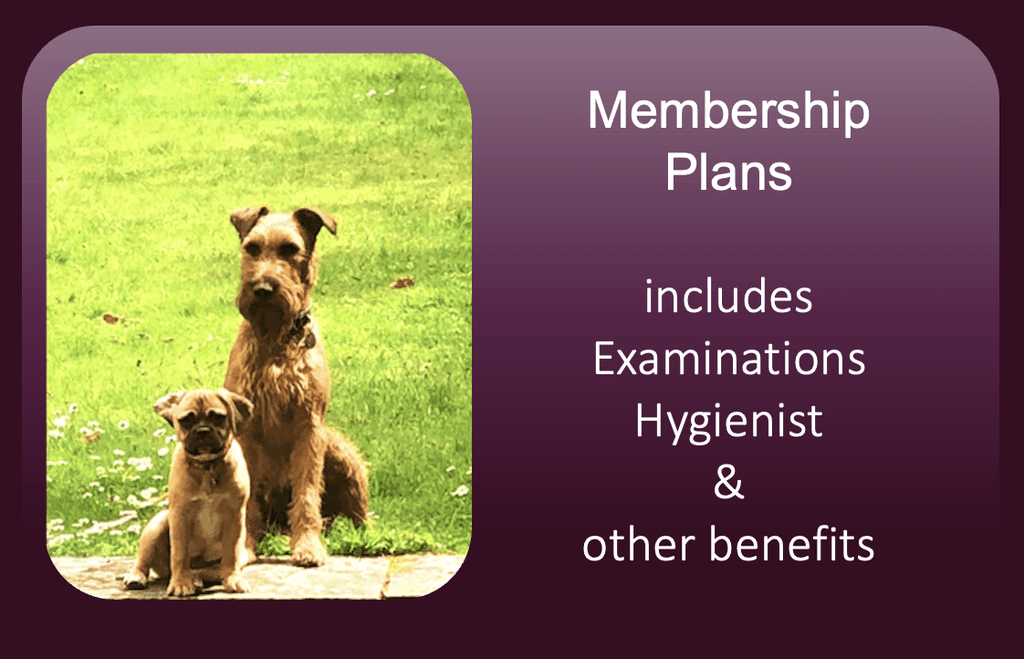 membership plans
