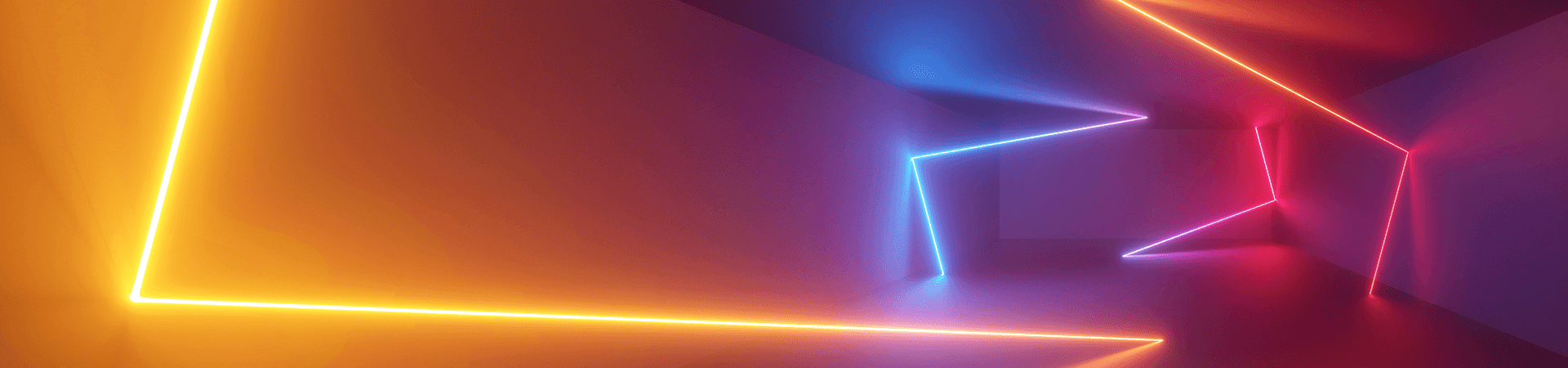 Verzekeringsfraude Rapport