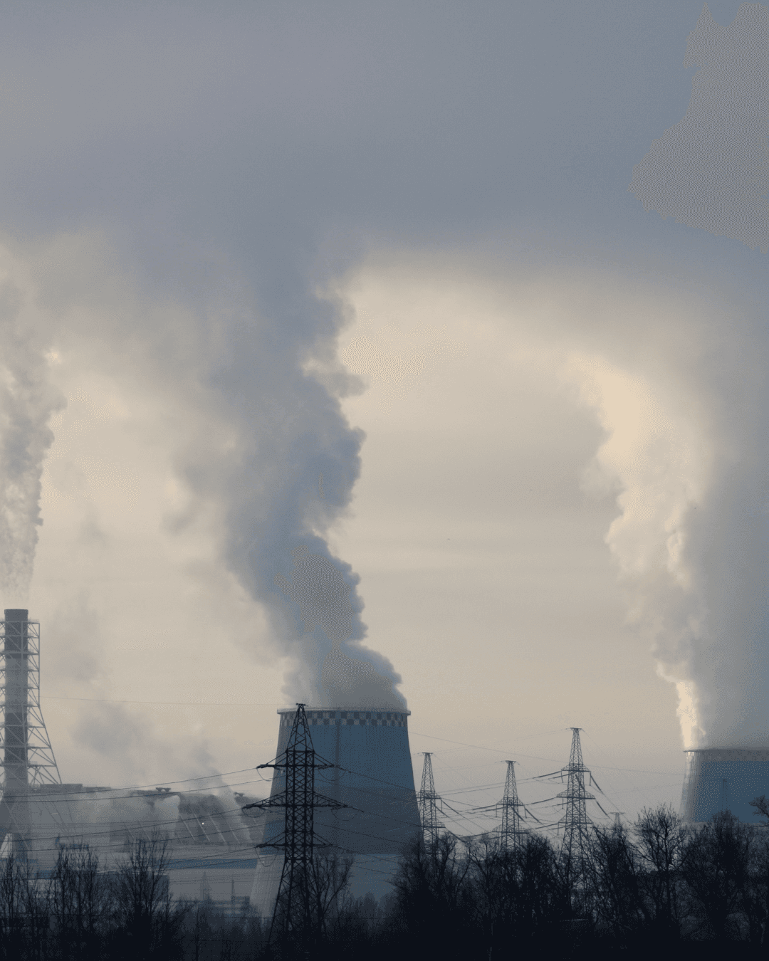 Close-up of a tree stump showing growth rings and a textured brown wood surface.