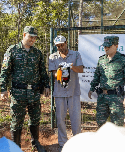 green chairs under umbrellas on shore