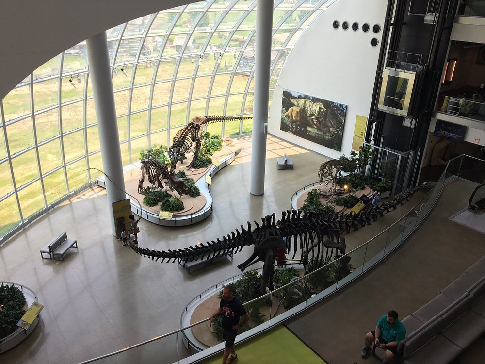 We Rock the Spectrum – Triad, North Carolina