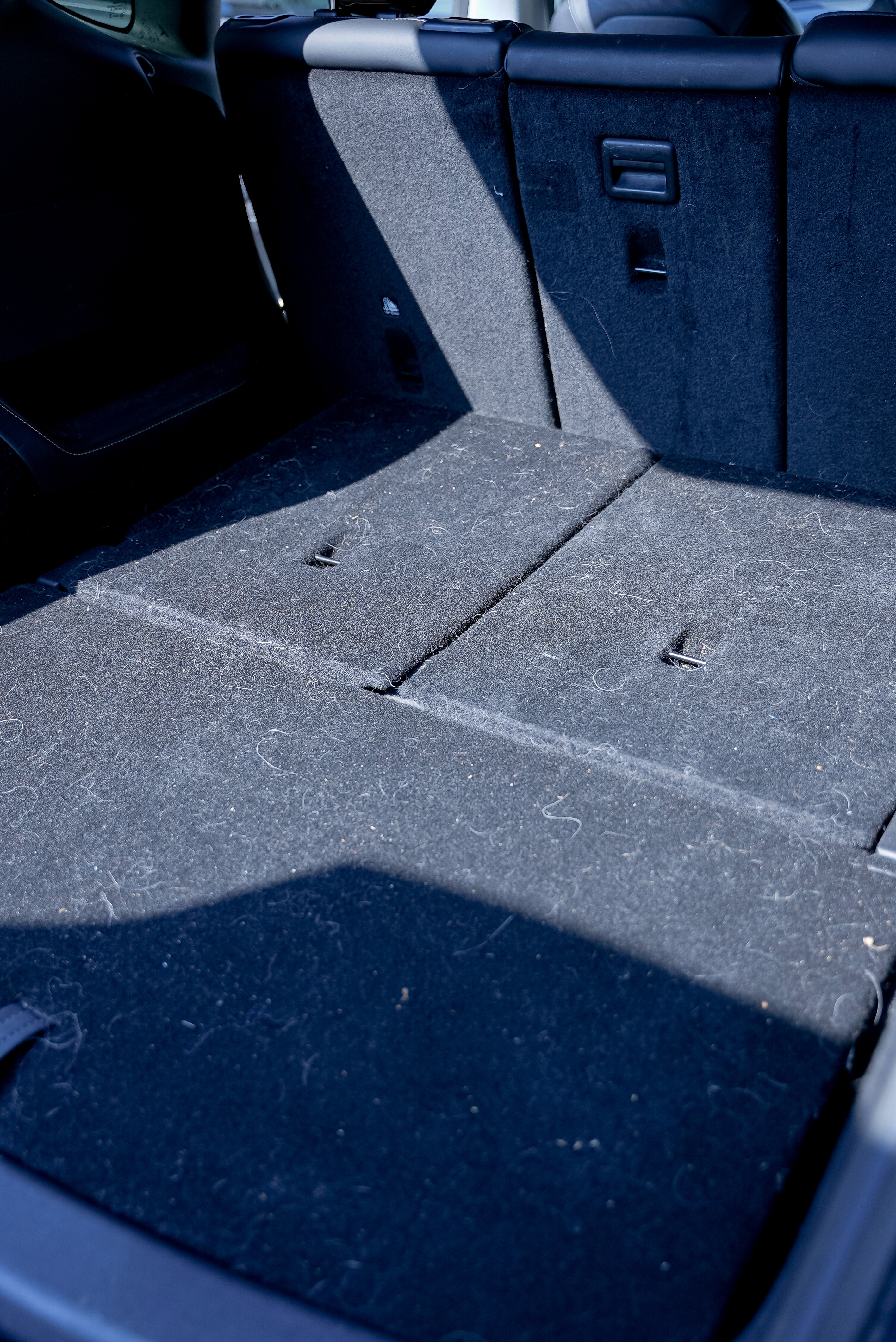 GTA fur free pet hair carpet removal before treatment