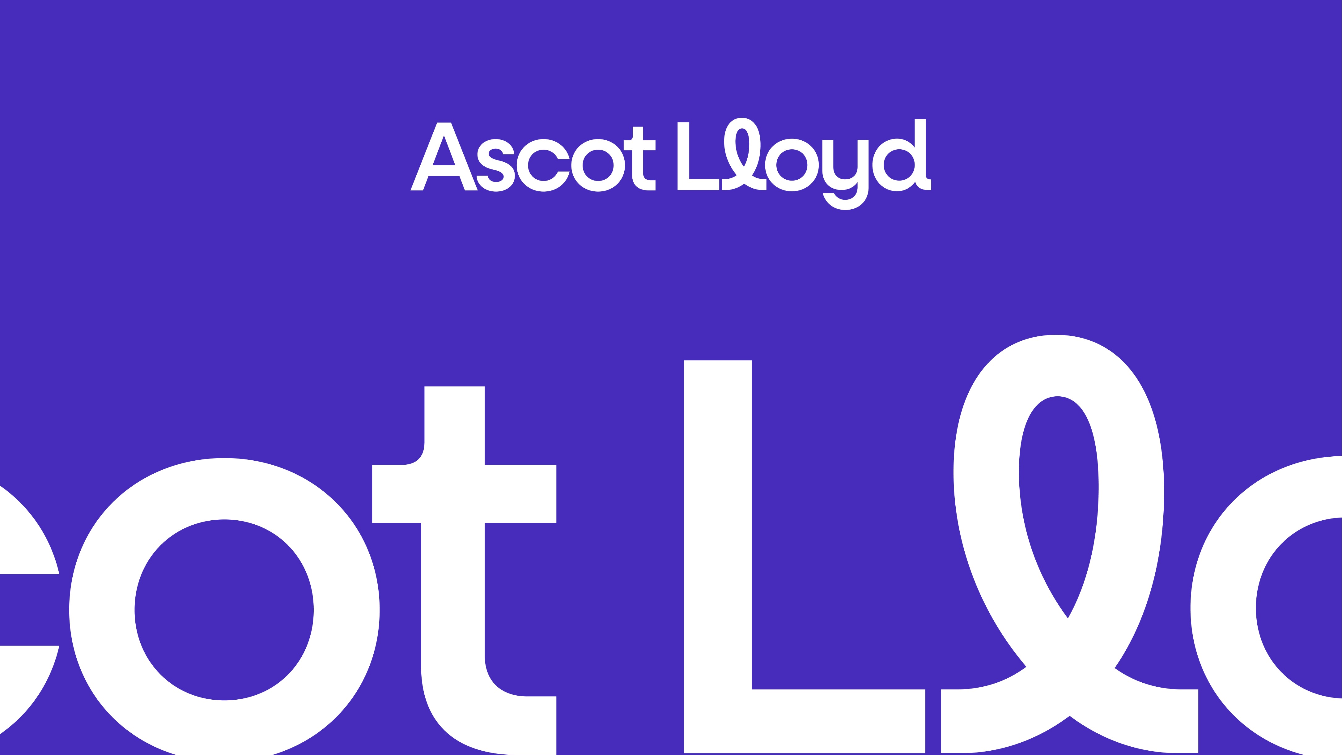 Large image showcasing the Premier Miton Logotype and tagline 'Original Thinking' in vibrant gradient colours.