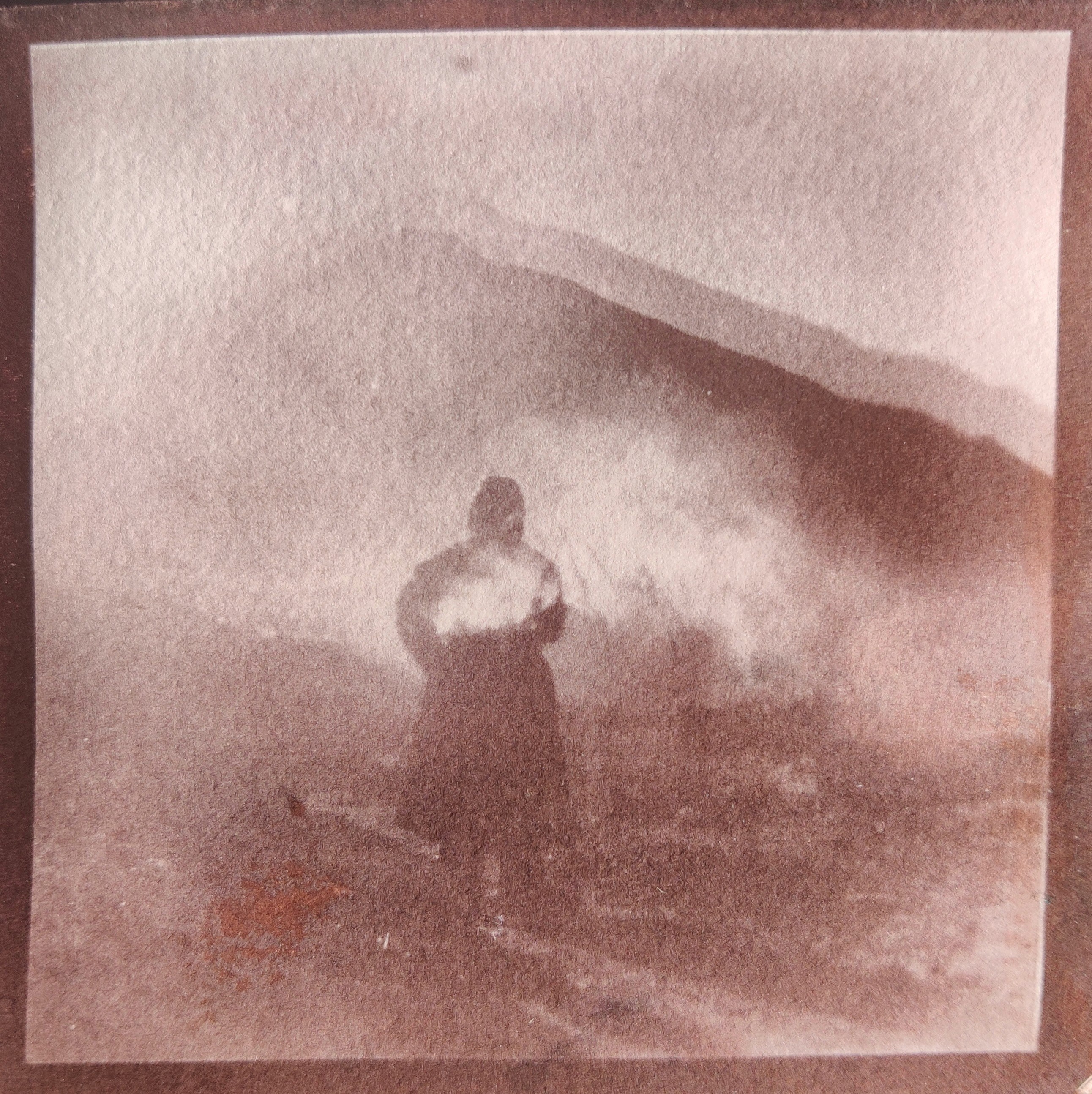 herd of sheep on road painting