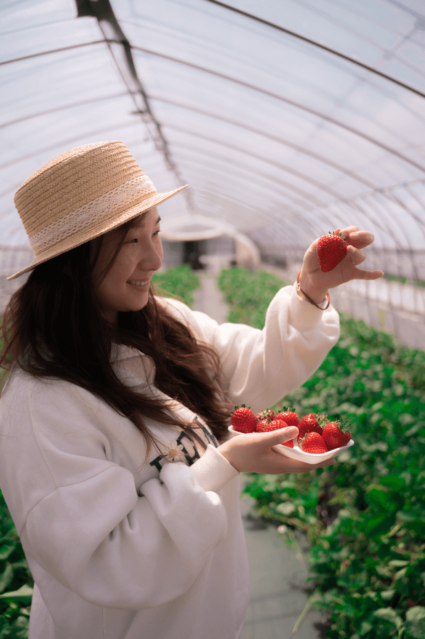 Person holding a freshly picked strawberry