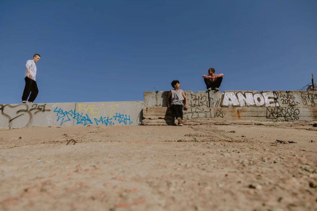 assorted paintings on white painted wall