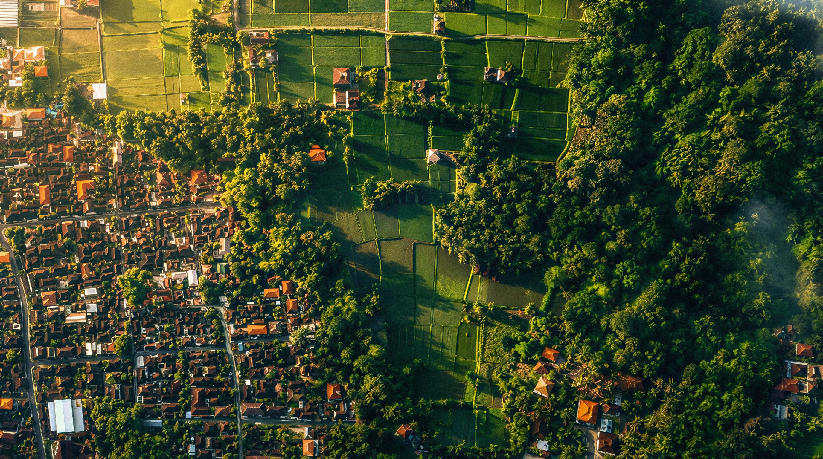 Kavel van de bouwplaats op Ubud, Bali