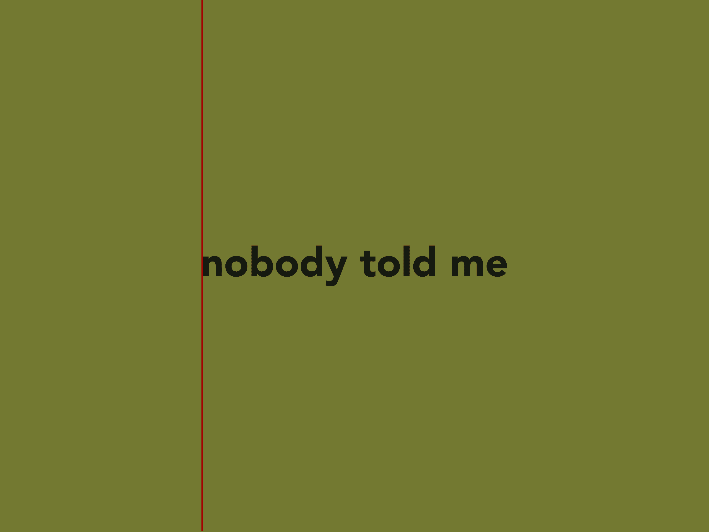 Nobody Told Me
