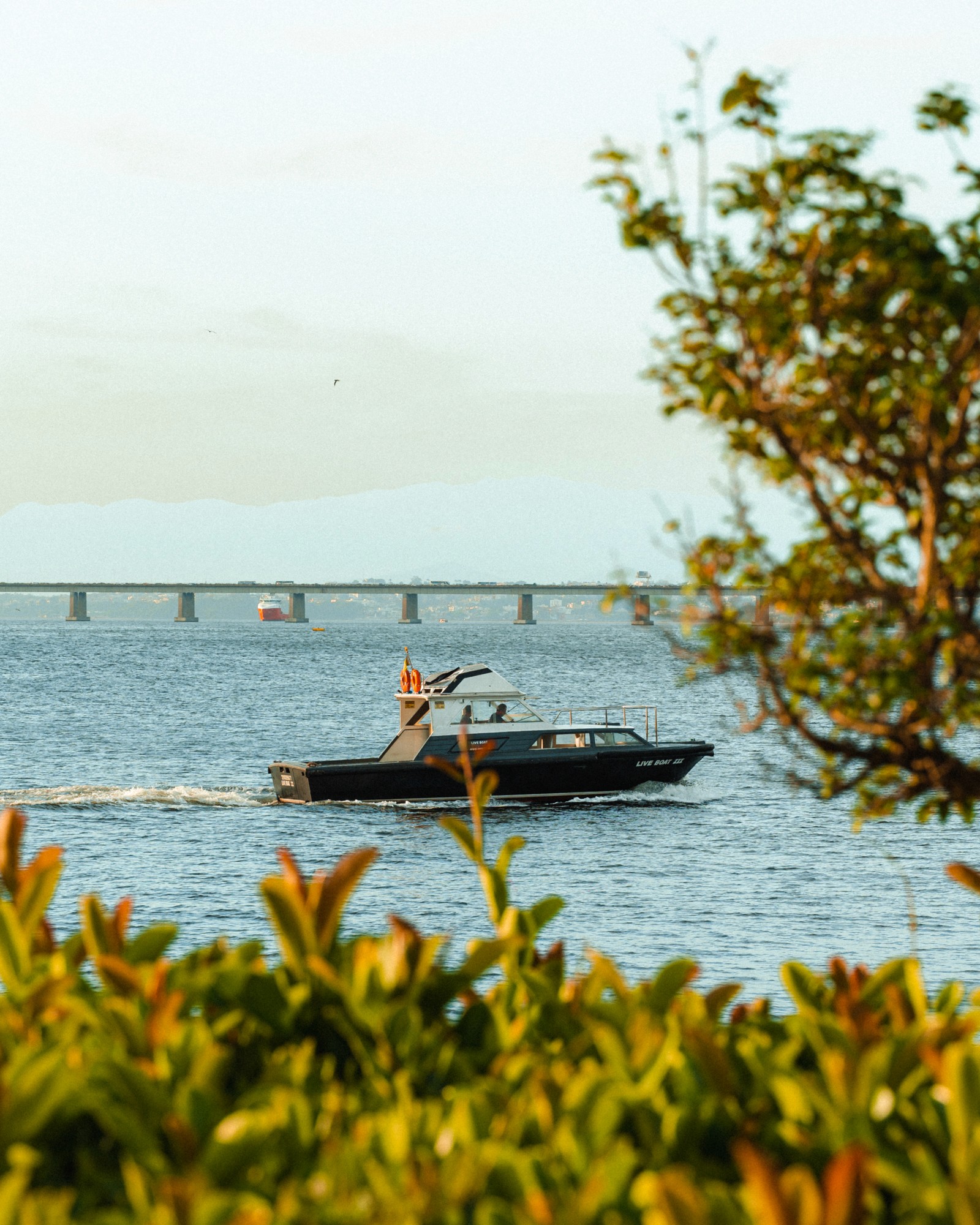 Imagem 9